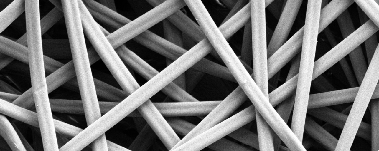 SEM of nanofibers for catalyst support