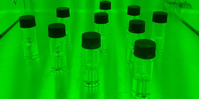 Environmental samples irradiated in UV chamber