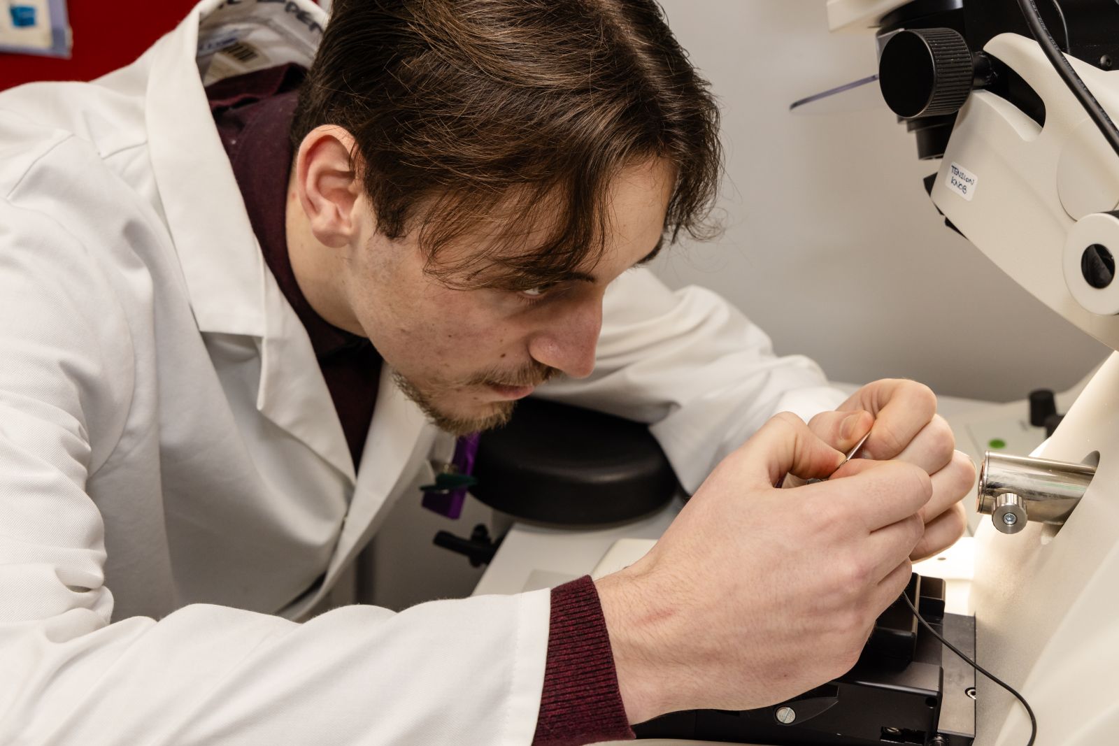 Person conducting an experiment with a microscope