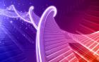 Image of DNA, courtesy of dream designs at FreeDigitalPhotos.net