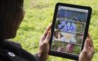 Woman using iPad to access learning materials